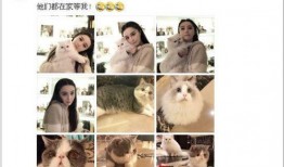 范冰冰邓超最新爆料视频,娱乐圈幕后真相大曝光！